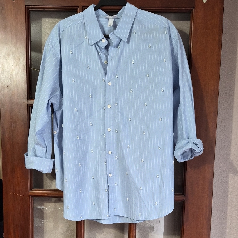 Light Blue Pinstripe Embroidered Button-Up Shirt